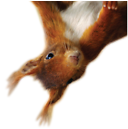 Captain Squirrel: 7d ago, 32996 posts (1%)