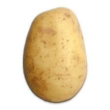 @gaster2411